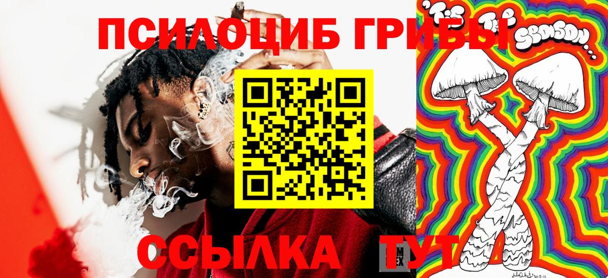 Лыткарино  цены наркотик  Вход с VPN  Галлюциногенные грибы Psilocybine cubensis 