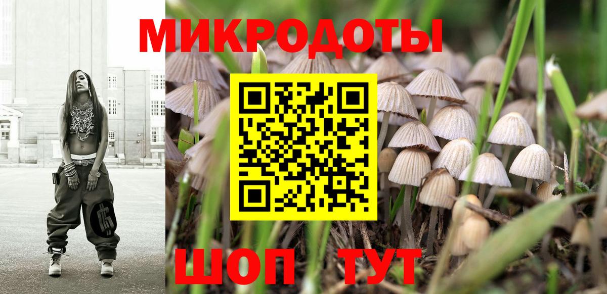 Галлюциногенные грибы Psilocybine cubensis Лыткарино